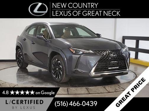 Cloudburst Gray 2023 Lexus UX 250h Base
