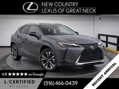 Cloudburst Gray 2023 Lexus UX 250h Base