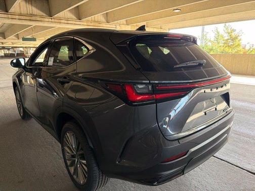 Cloudburst Gray 2026 Lexus NX 350 Luxury
