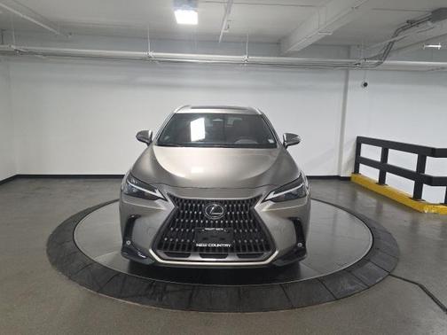 2022 Lexus NX 250 Premium