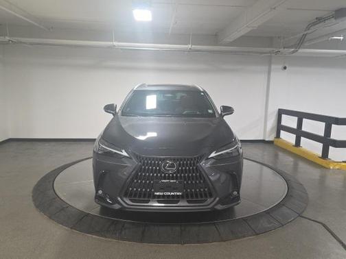 2023 Lexus NX 350 Luxury