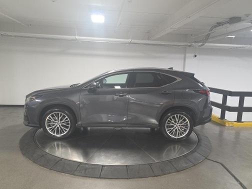 2023 Lexus NX 350 Luxury