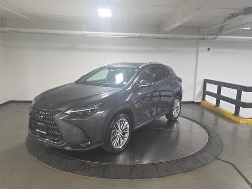 2023 Lexus NX 350 Luxury