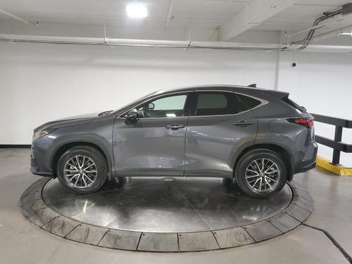 2023 Lexus NX 350h Premium
