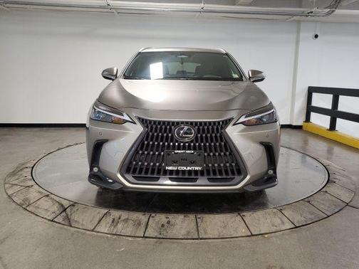 2023 Lexus NX 350h Premium