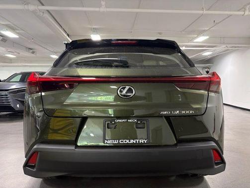 Nori Green Pearl 2026 Lexus UX 300h Premium
