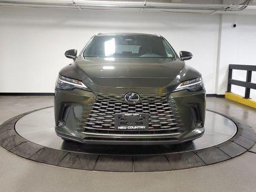 Green Pearl 2023 Lexus RX 350 Premium