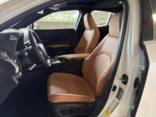 2025 Lexus UX 300h Premium