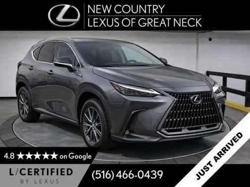 Cloudburst Gray 2024 Lexus NX 350h Premium