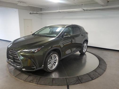 2025 Lexus NX 350 Premium