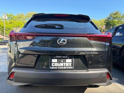 Caviar 2026 Lexus UX 300h Premium