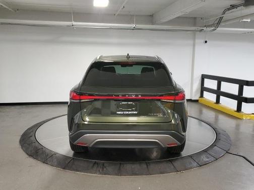 2025 Lexus RX 350 Premium Plus