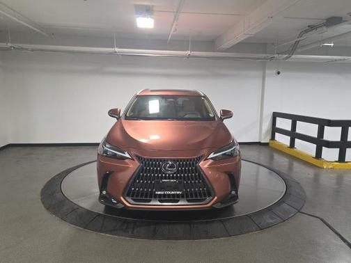 2025 Lexus NX 350 Premium