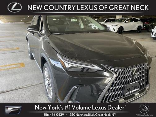 2025 Lexus NX 350 Luxury