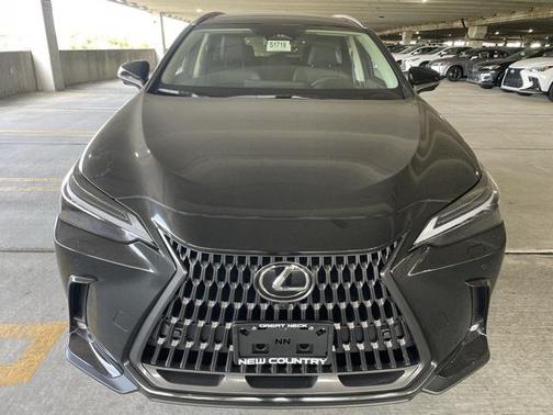 2025 Lexus NX 350 Luxury