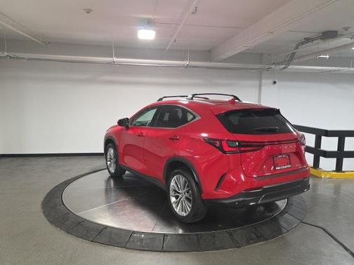 2023 Lexus NX 350 Luxury