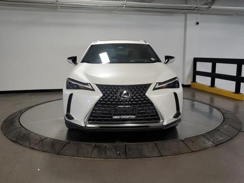 2025 Lexus UX 300h Premium