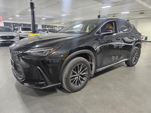 2024 Lexus NX 350h Premium