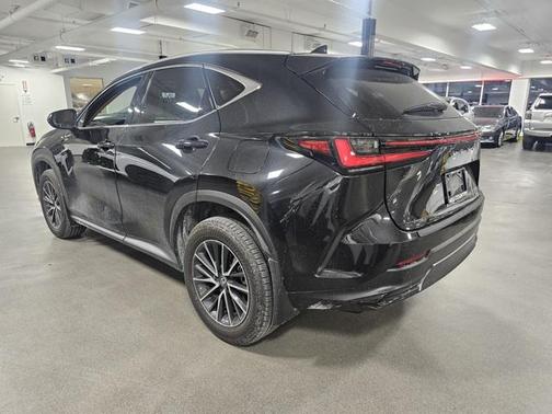 2024 Lexus NX 350h Premium