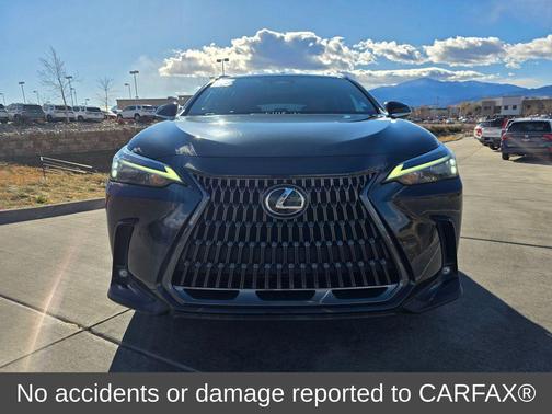 2023 Lexus NX 450h+ Luxury