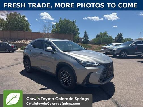 2024 Lexus NX 250 Base