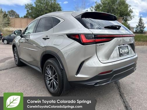 2024 Lexus NX 250 Base