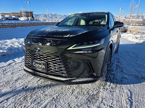 2024 Lexus RX 350 Luxury