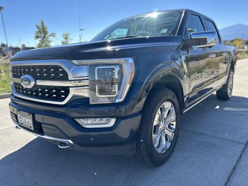 2021 Ford F-150 Platinum