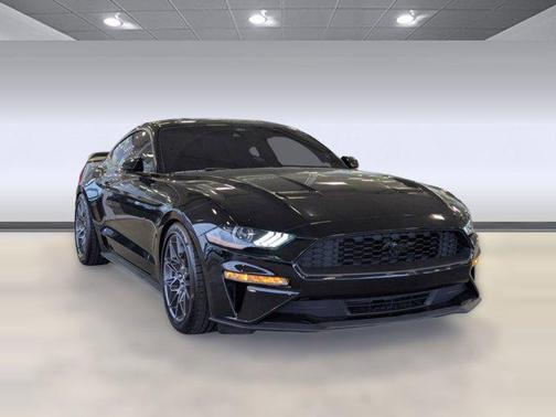 2022 Ford Mustang EcoBoost