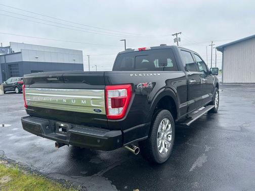 Agate Black Metallic 2023 Ford F-150 Platinum