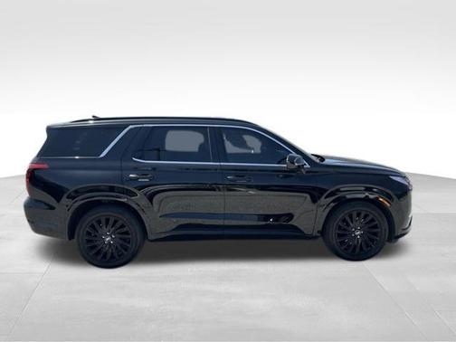 Abyss Black Pearl 2024 Hyundai PALISADE Calligraphy Night Edition