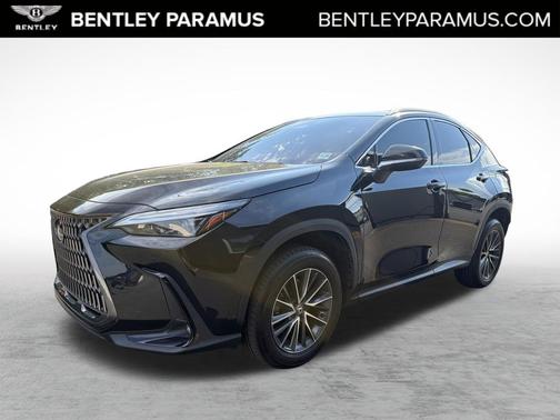 Caviar 2024 Lexus NX 350 Premium