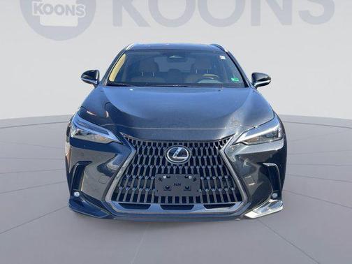 2025 Lexus NX 350 350 Base