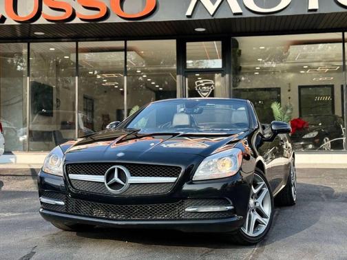 2014 Mercedes-Benz SLK-Class SLK 250