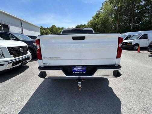 Summit White 2019 Chevrolet Silverado 1500 WT