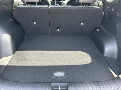 Jungle Green/Ebony Black Roof 2025 Kia Sportage S