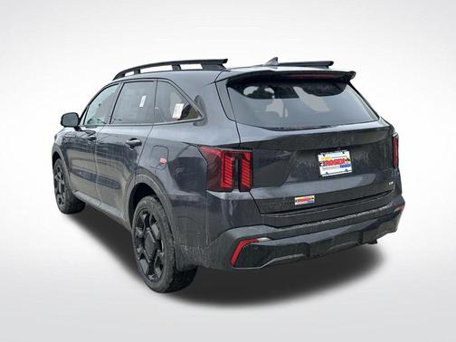 Panthera Metal 2026 Kia Sorento SX
