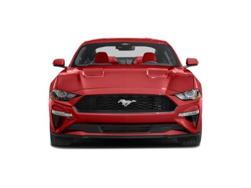 ERUPTION GREEN METALLIC 2023 Ford Mustang EcoBoost Premium