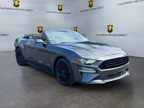 Magnetic Metallic 2019 Ford Mustang EcoBoost