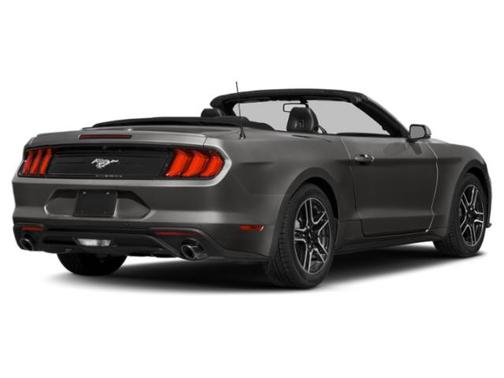 Magnetic Metallic 2019 Ford Mustang EcoBoost