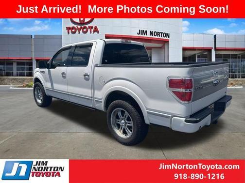 2010 Ford F-150 Platinum