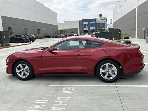 2022 Ford Mustang EcoBoost