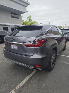 Nebula Gray Pearl 2020 Lexus RX 350 Base