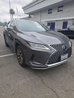 Nebula Gray Pearl 2020 Lexus RX 350 Base