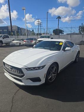 OXFORD WHITE 2025 Ford Mustang EcoBoost