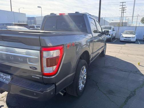 2021 Ford F-150 Platinum