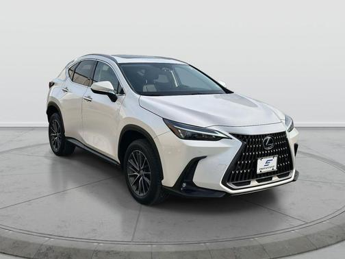 2023 Lexus NX 250 Premium