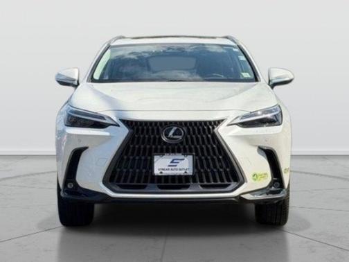 White Pearl 2022 Lexus NX 450h+ Luxury