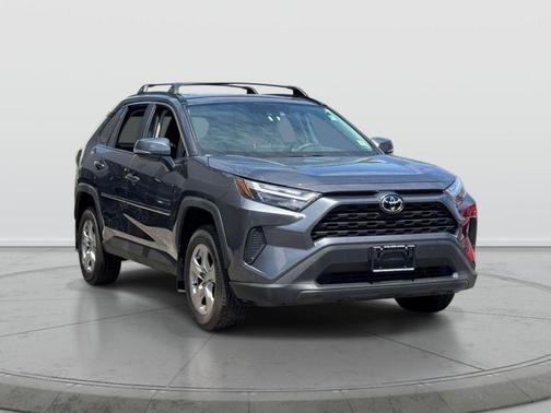 Magnetic Gray Metallic 2025 Toyota RAV4 XLE