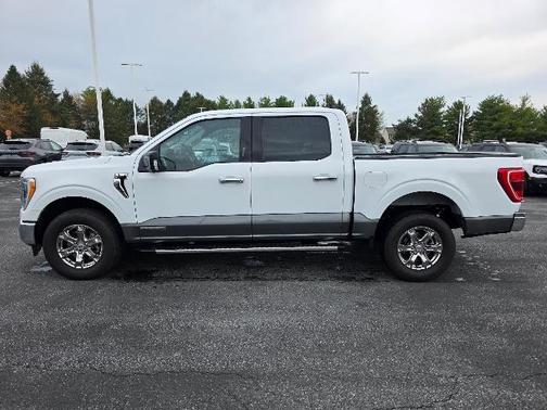 OXFORD WHITE 2023 Ford F-150 XLT